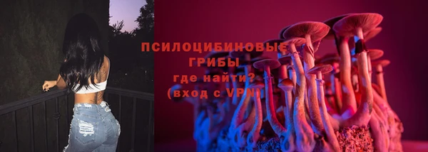 эйфоретик Алзамай
