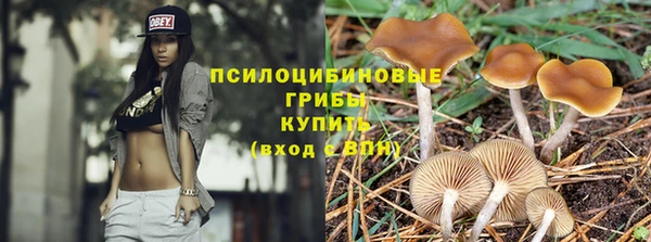 эйфоретик Алзамай