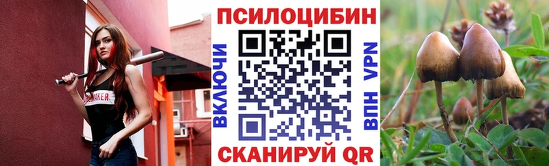 Купить где  Советский  Галлюциногенные грибы GOLDEN TEACHER 